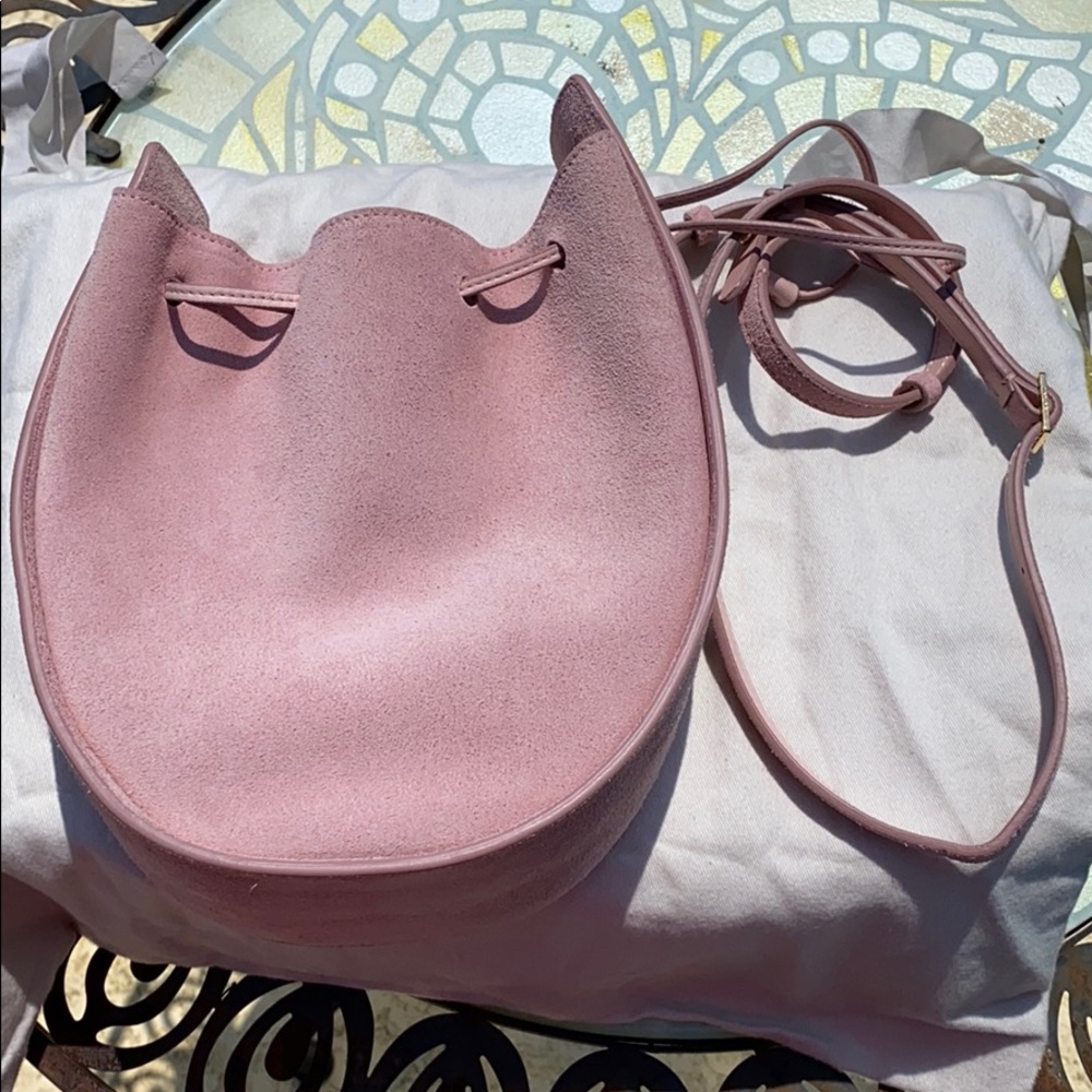 💗Host Pick💗 The Row Drawstring Suede Crossbody - Picture 4 of 13